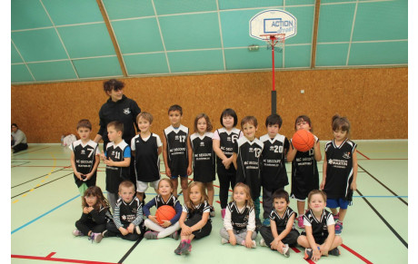 minis-babys 2015-2016